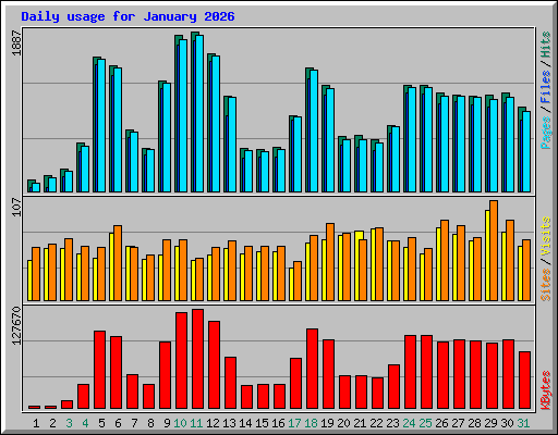 Daily usage for January 2026