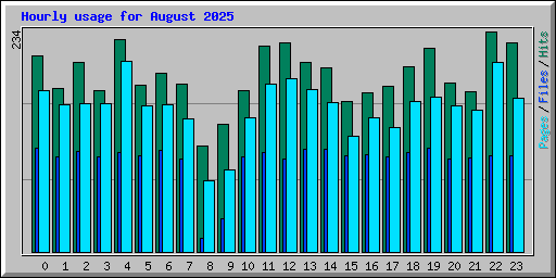 Hourly usage for August 2025