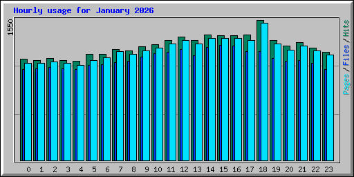 Hourly usage for January 2026