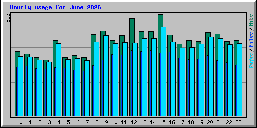 Hourly usage for June 2026